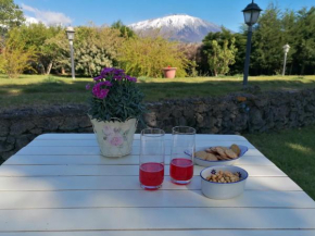 Nero Etna Bronte